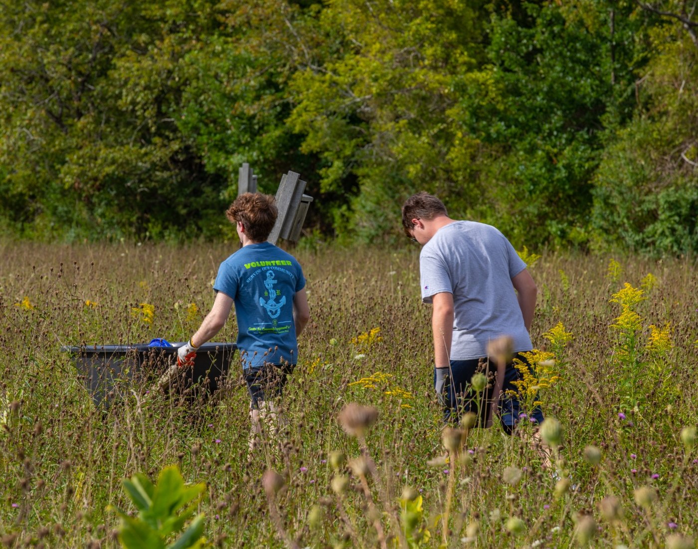 2021 Service Plunge at Norman Bird Sanctuary