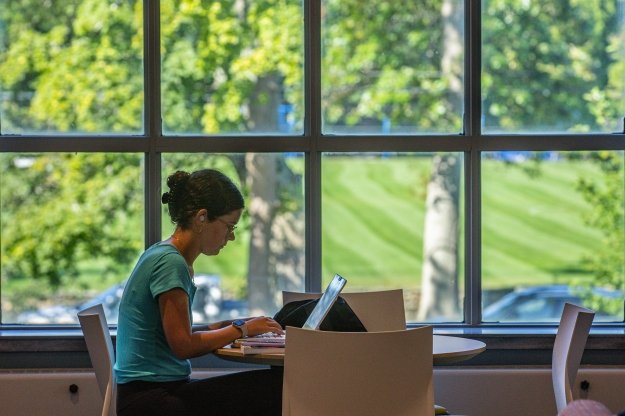 Salve Student on Computer