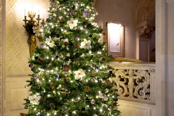 Christmas tree in Ochre Court