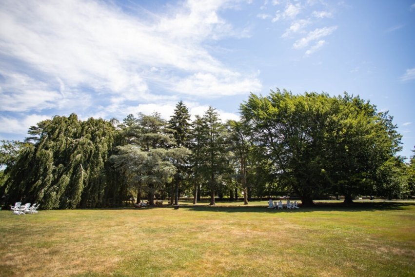 Photo for blog post "Salve Regina achieves bronze rating for sustainability efforts across campus"