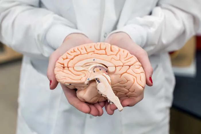 neuroscience_spotlight.jpg